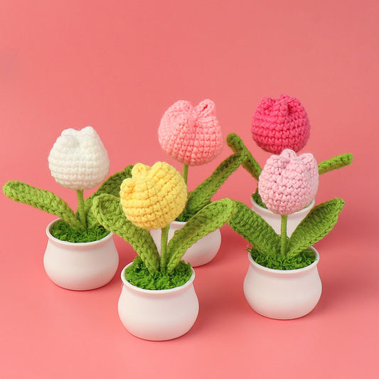 Crochet Mini Plant