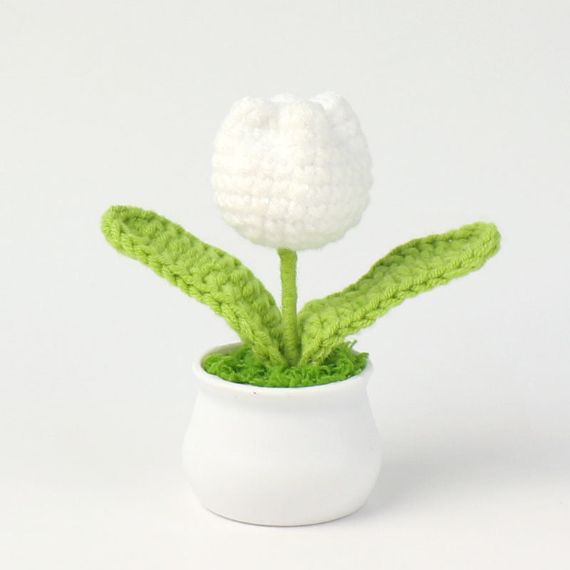 Crochet Mini Plant