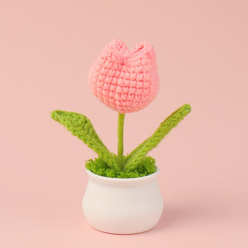 Crochet Mini Plant