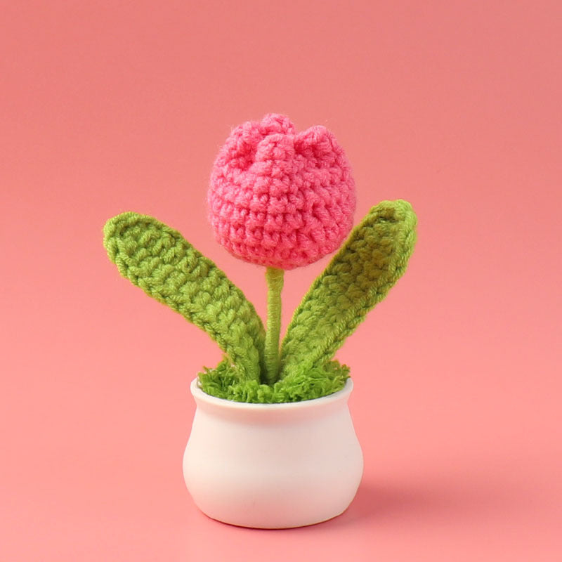 Crochet Mini Plant