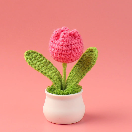 Crochet Mini Plant