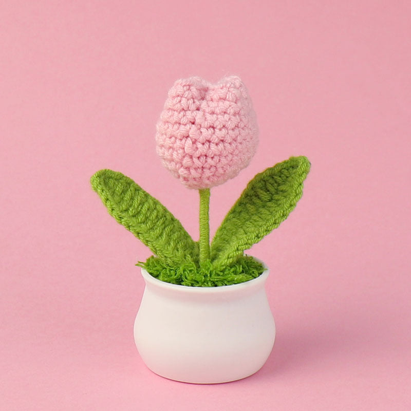 Crochet Mini Plant